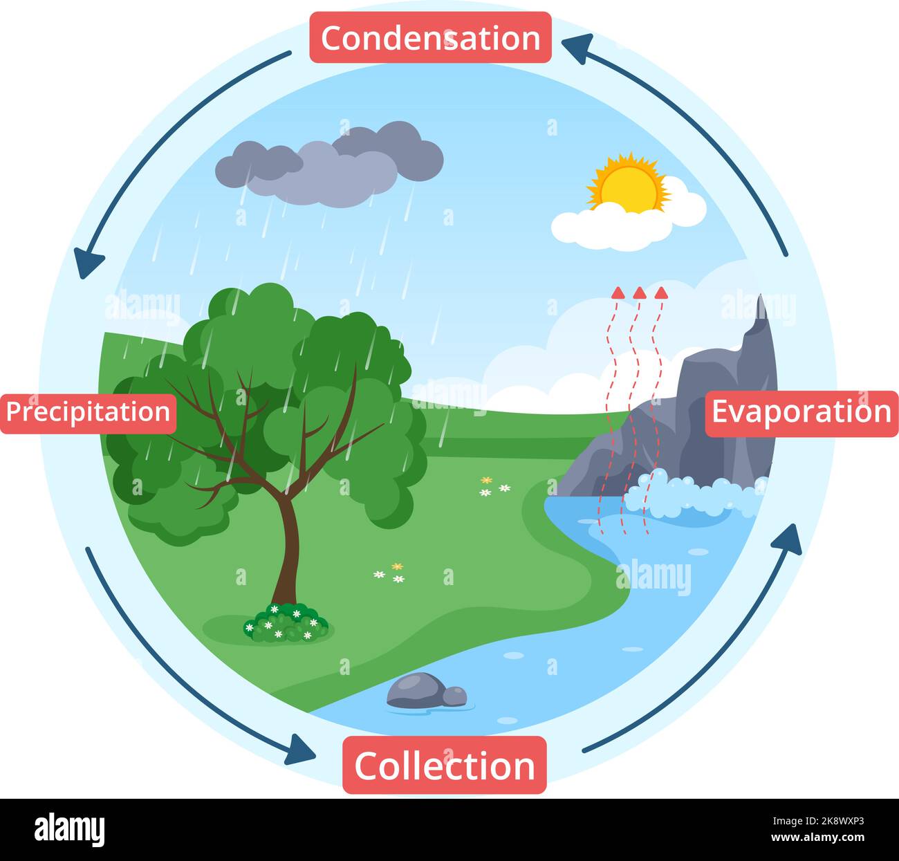 Cycle de l'eau d'évaporation, de condensation, de précipitation à la collecte dans l'environnement naturel terrestre sur le dessin main de dessin de dessin animé à plat Illustration Illustration de Vecteur
