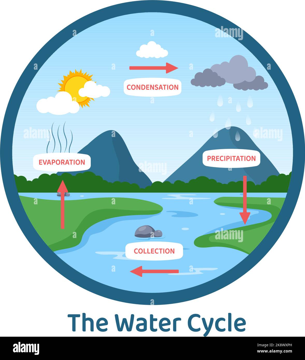 Cycle de l'eau d'évaporation, de condensation, de précipitation à la collecte dans l'environnement naturel terrestre sur le dessin main de dessin de dessin animé à plat Illustration Illustration de Vecteur