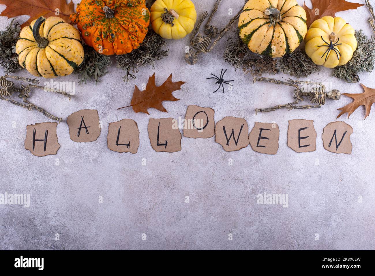 Arrière-plan Halloween avec citrouille et squelette Banque D'Images