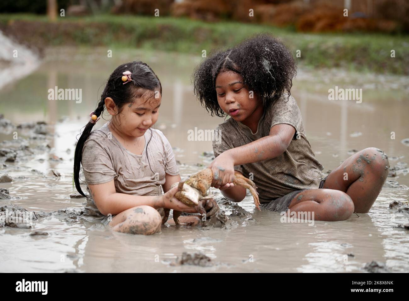 Deux enfants heureux enfant fille attrapant une grosse grenouille dans la grande boue humide flaque le jour d'été. Banque D'Images