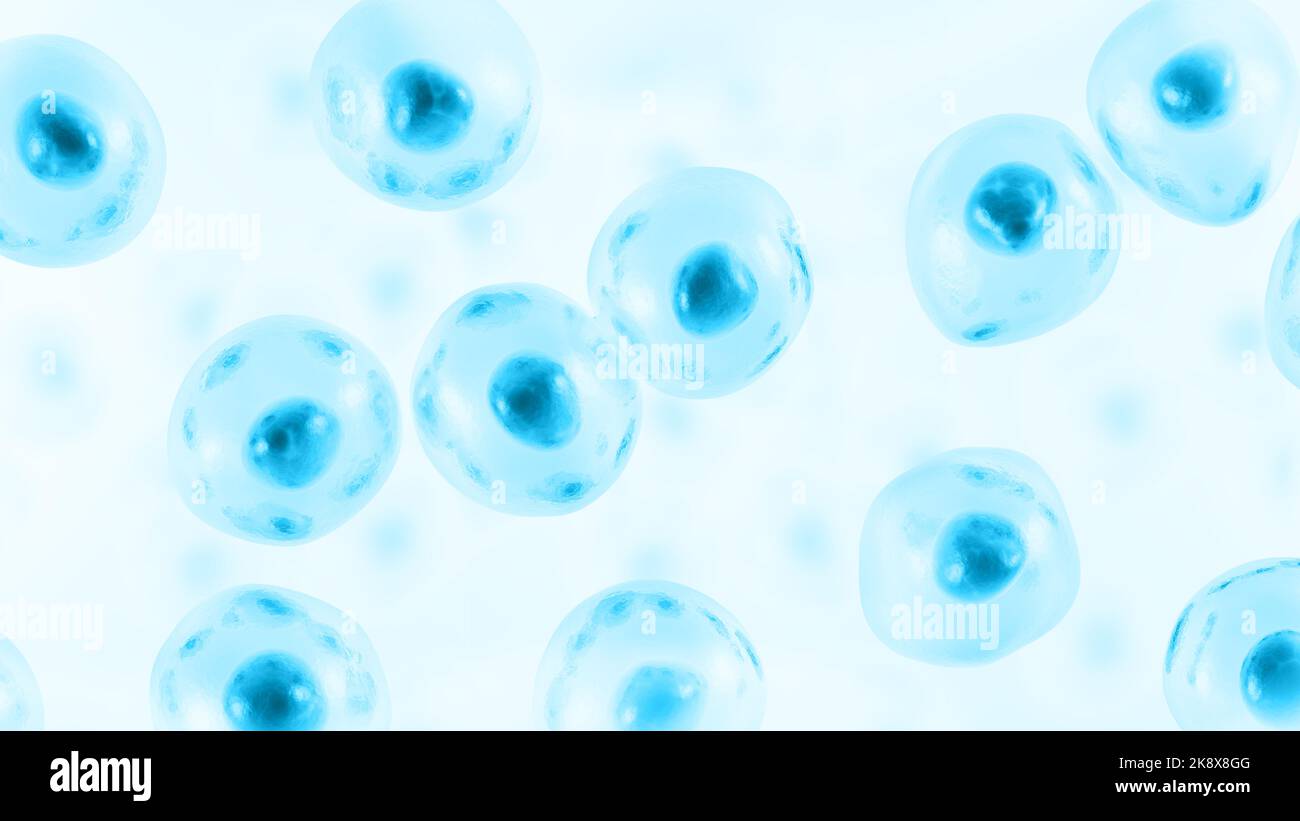 Cellules souches embryonnaires. Cellule humaine. 3d illustration. Banque D'Images