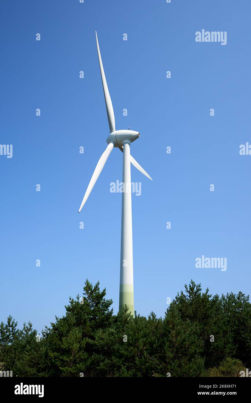 Un plan vertical d'une éolienne avec des pales en rotation par jour ensoleillé Banque D'Images