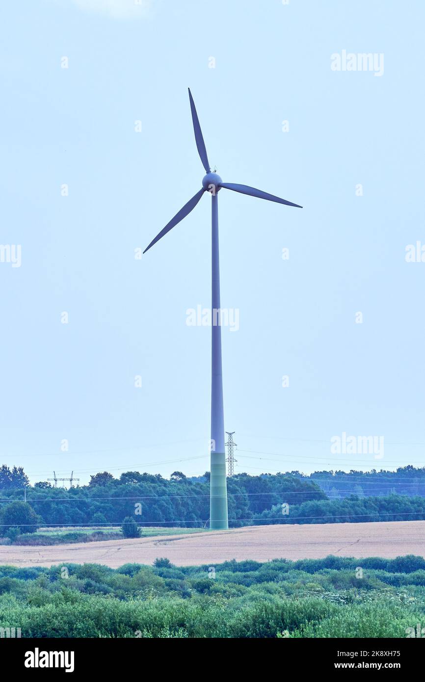 Un plan vertical d'une éolienne avec des pales en rotation dans un champ Banque D'Images