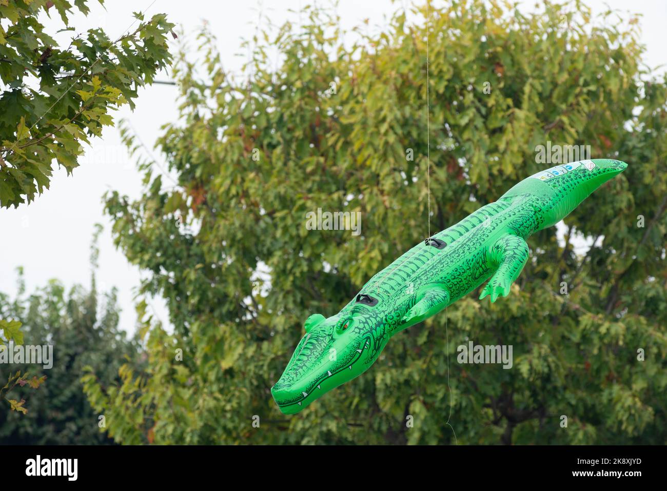 Statue Crocodile en Plastique pour Décoration de Jardin et Maison
