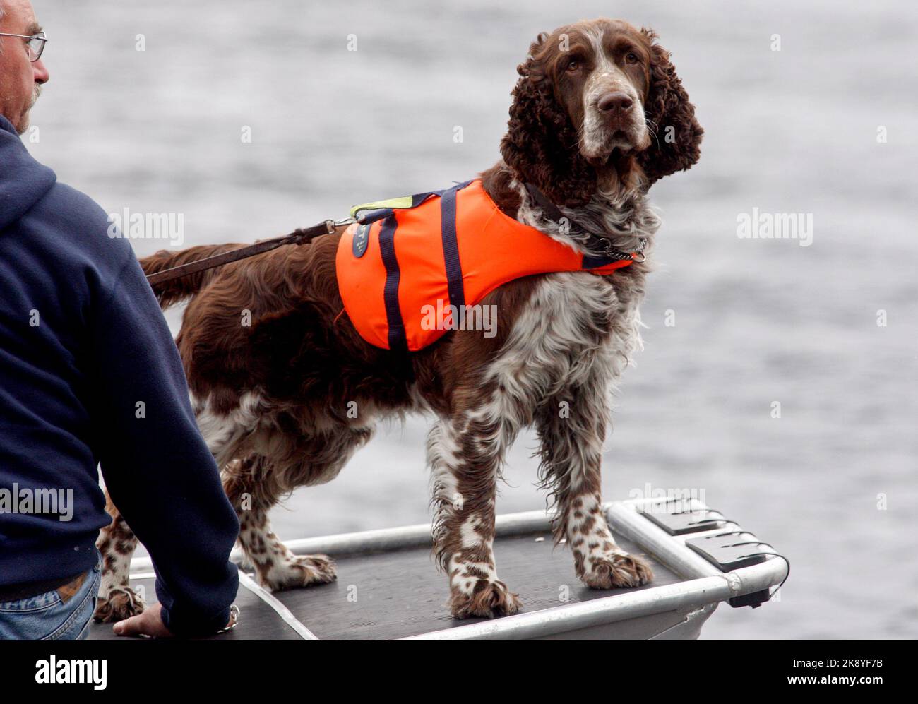 La police cherche une personne disparue, ici elle cherche un lac avec un bateau et un chien de détection de police. Banque D'Images