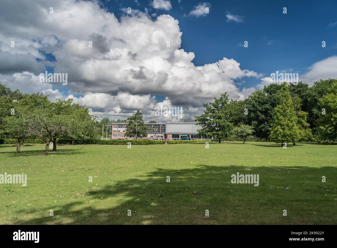 Wedgewood Park paysage arbres et pelouse manucure soleil jour avec des nuages, Staffordshire UK. Banque D'Images