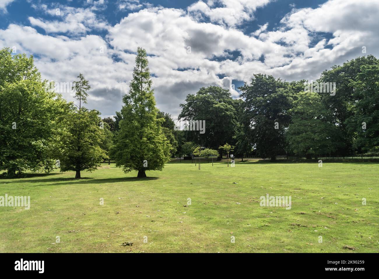 Wedgewood Park paysage arbres et pelouse manucure soleil jour avec des nuages, Staffordshire UK. Banque D'Images