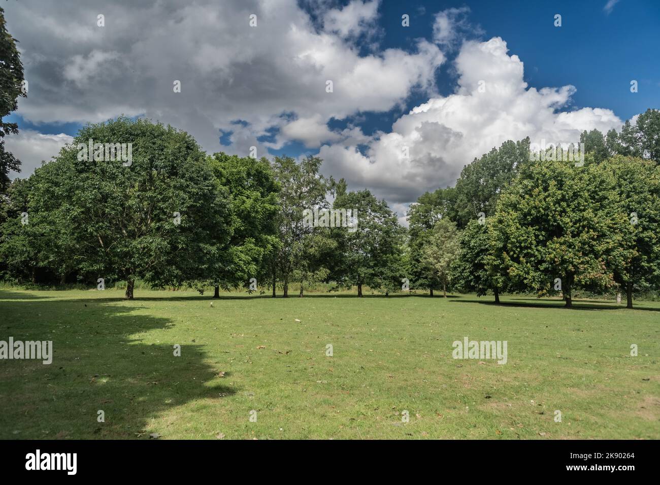 Wedgewood Park paysage arbres et pelouse manucure soleil jour avec des nuages, Staffordshire UK. Banque D'Images