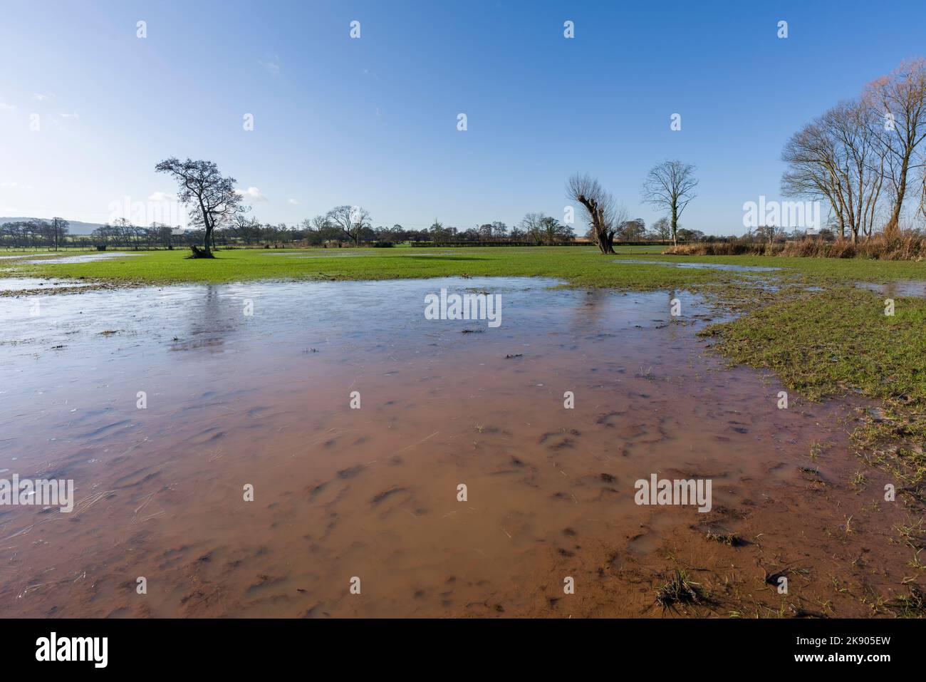 Eau de crue gelée dans un champ pendant une période froide en hiver près de Wrington, dans le nord du Somerset, en Angleterre. Banque D'Images