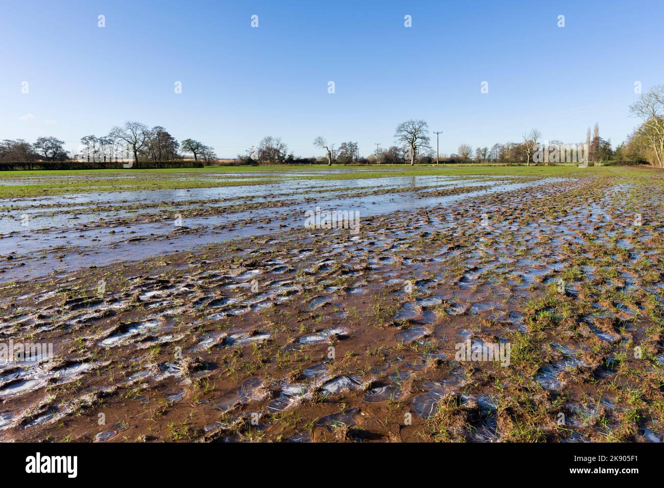 Un sentier boueux gelé à travers un champ pendant un temps froid en hiver près de Wrington, dans le nord du Somerset, en Angleterre. Banque D'Images