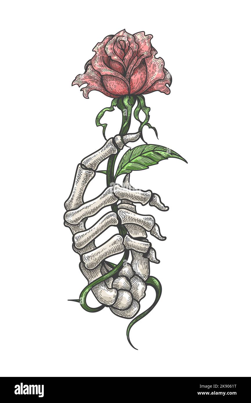 Coloré Tattoo of Skeleton main tient Rose Flower isolé sur blanc. Illustration vectorielle. Illustration de Vecteur