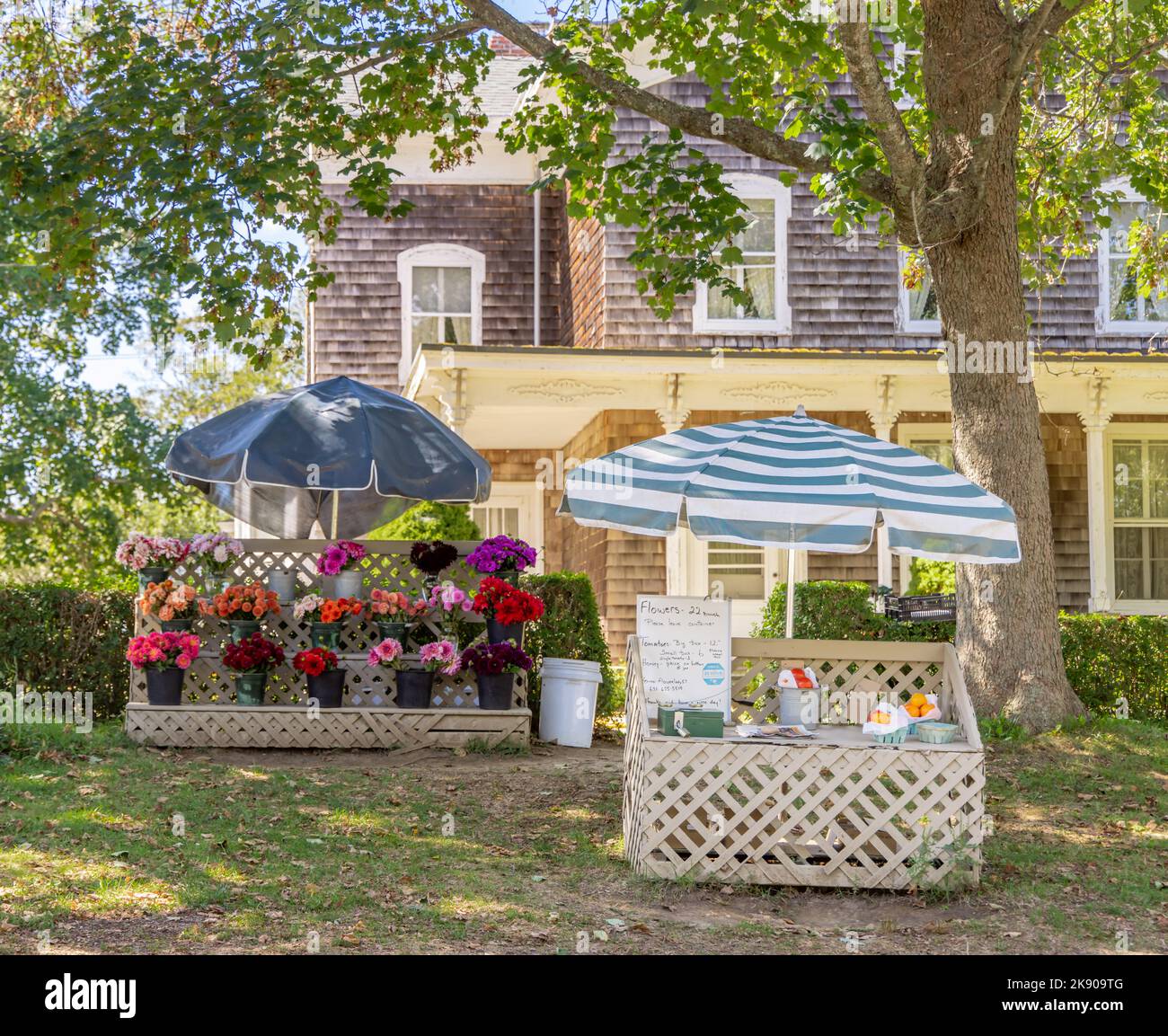 Stand de ferme de Bridgehampton vendant des fleurs coupées fraîches Banque D'Images