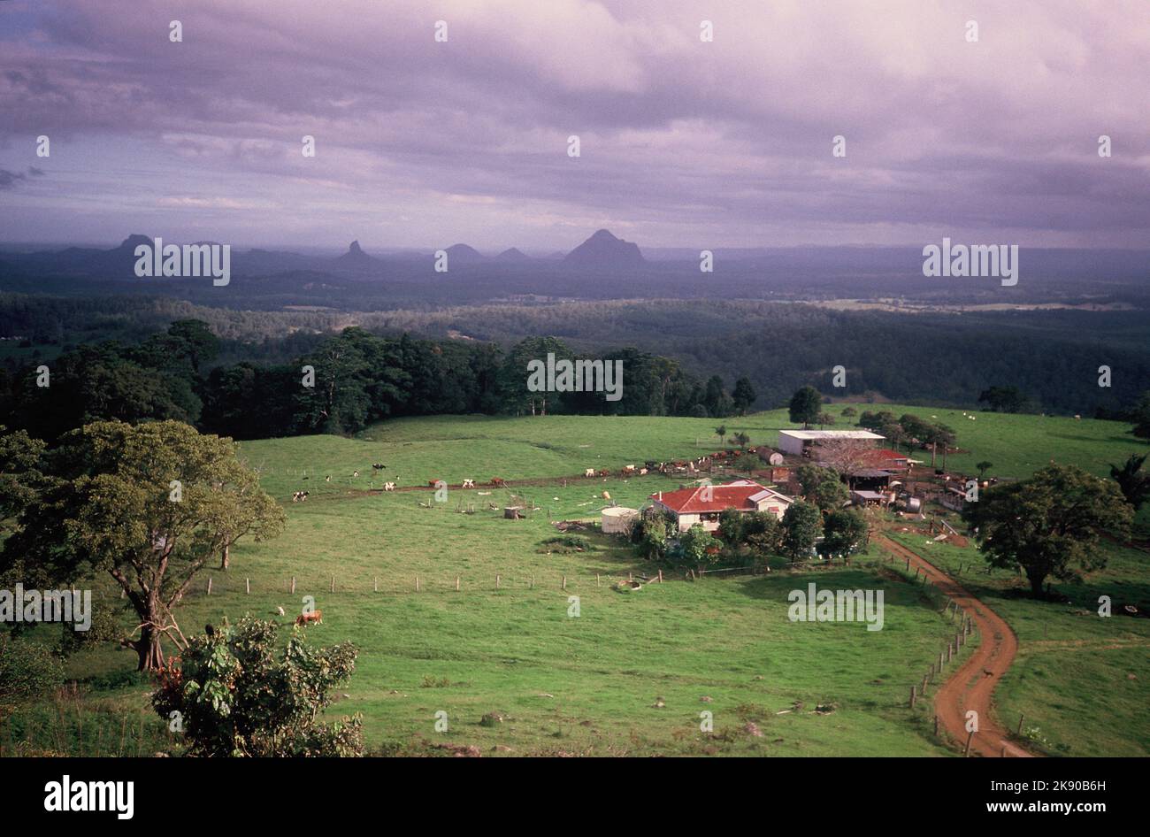 Australie. Queensland. Sunshine Coast. Maleny. Paysage avec ferme. Montagnes Glasshouse. Banque D'Images
