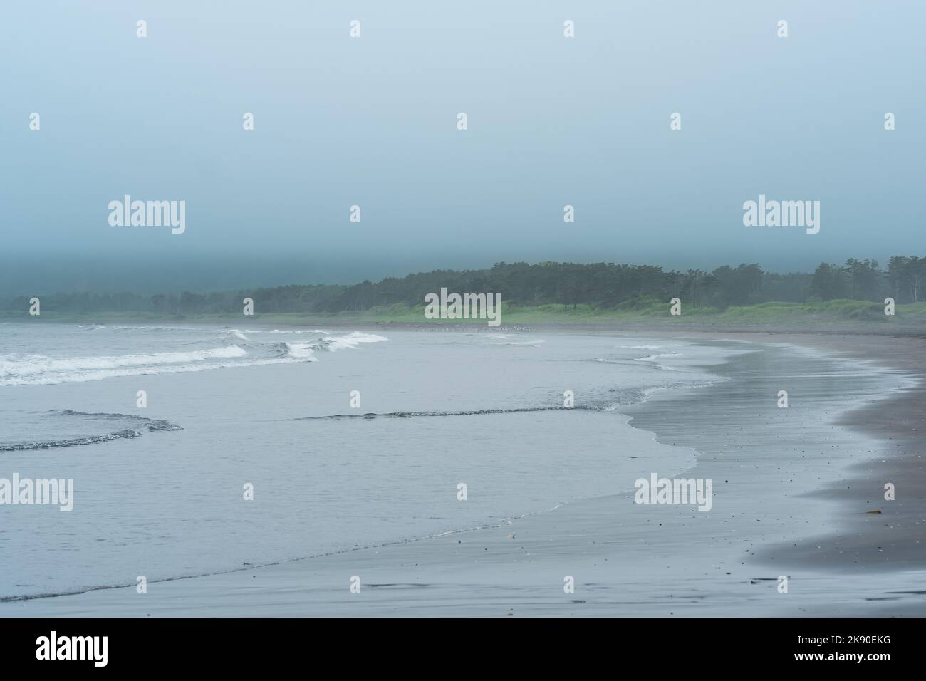 Côte brumeuse de l'île de Kunashir pendant la fonte Banque D'Images