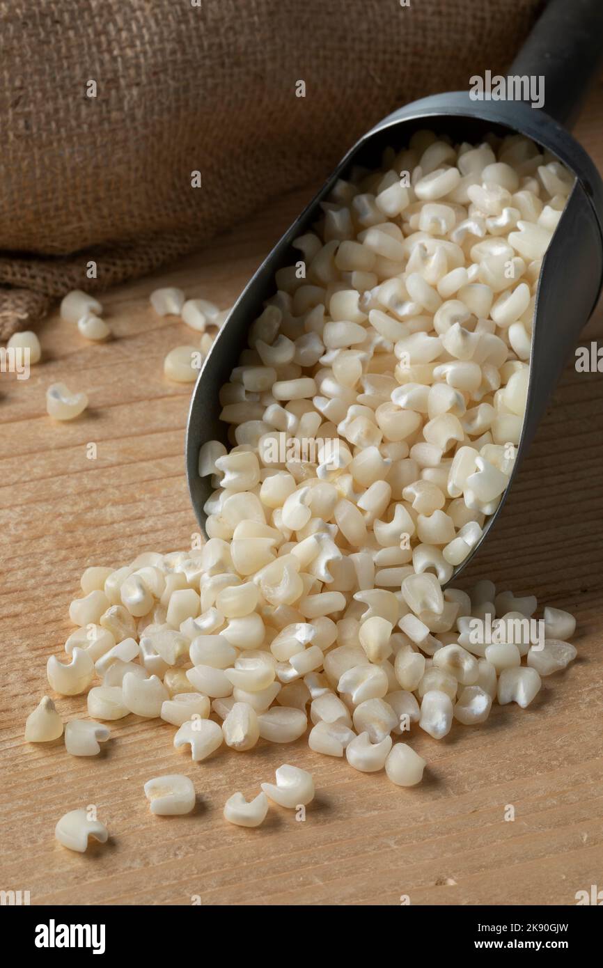 Gros plan sur des graines de maïs blanc séchées ou du maïs sur une pelle en métal Banque D'Images