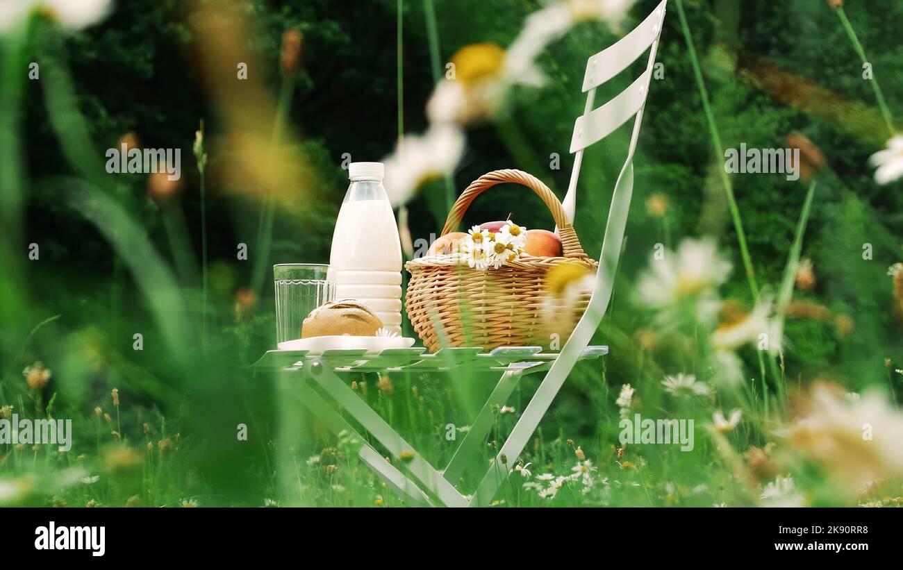 Au milieu d'une pelouse de camomille, sur une chaise blanche se trouve une bouteille de lait, un panier de pommes et de pain. Photo de haute qualité Banque D'Images
