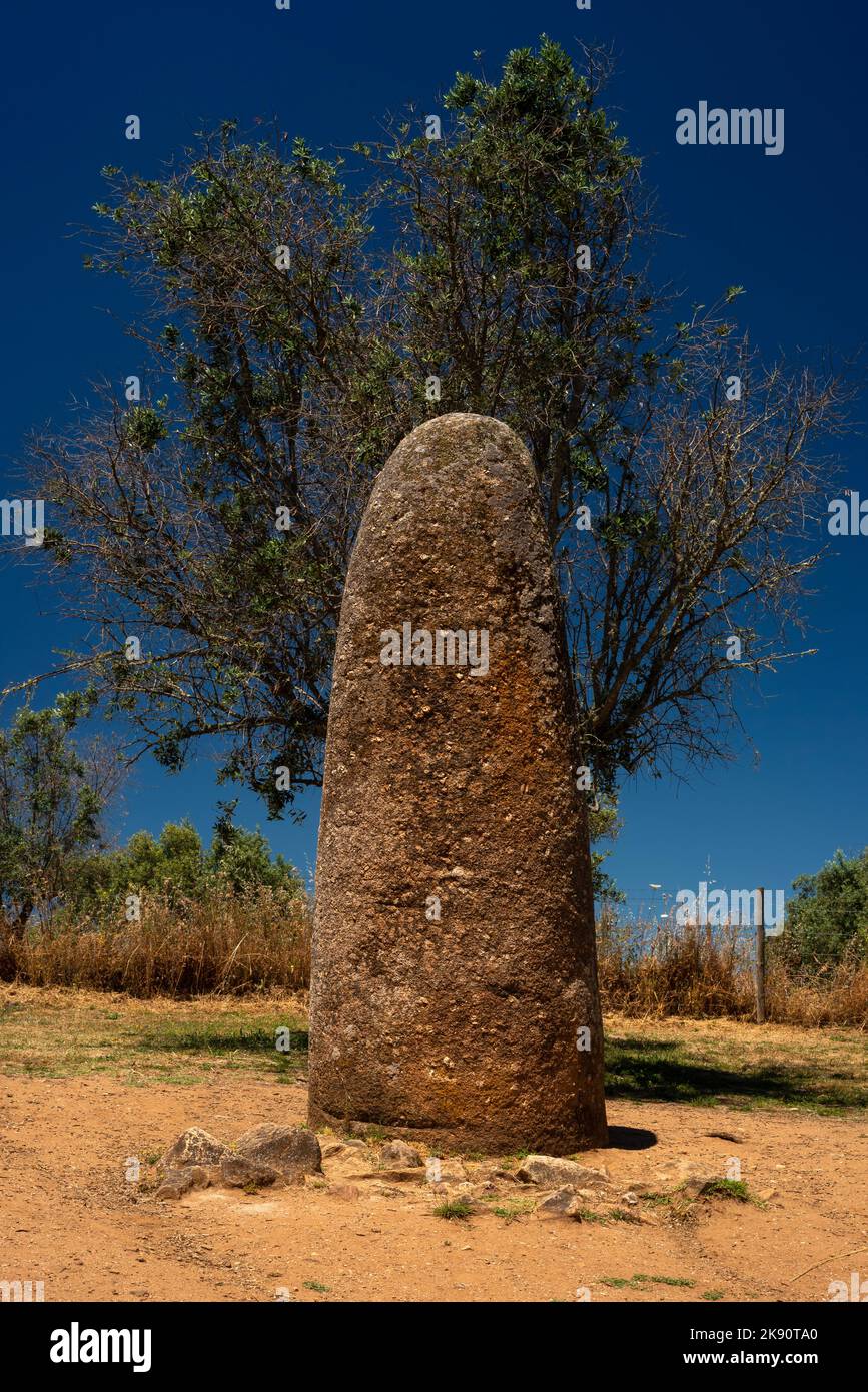 Le Menhir des Almendres, une pierre debout solitaire d'environ 4 mètres (13 pieds) de haut, a signalé le lever du solstice d'été quand il a été vu par des gens préhistoriques à environ 1,4 km au milieu des anneaux mégalithaux des Almendres Cromlech, fondé il y a environ 7 000 ans près de la ville actuelle d'Évora, Alentejo Central, Portugal. Banque D'Images