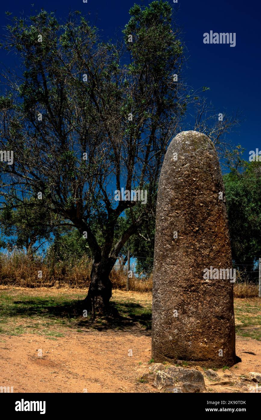 Le Menhir des Almendres, d'environ 4 mètres (13 pieds) de haut, a signalé le lever du solstice d'été lorsqu'il a été vu des anneaux de mégalithes des Almendres Cromlech à environ 1,4 km. Le cromlech a été fondé il y a environ 7 000 ans près du site de la ville actuelle d'Évora, Alentejo Central, Portugal. Banque D'Images