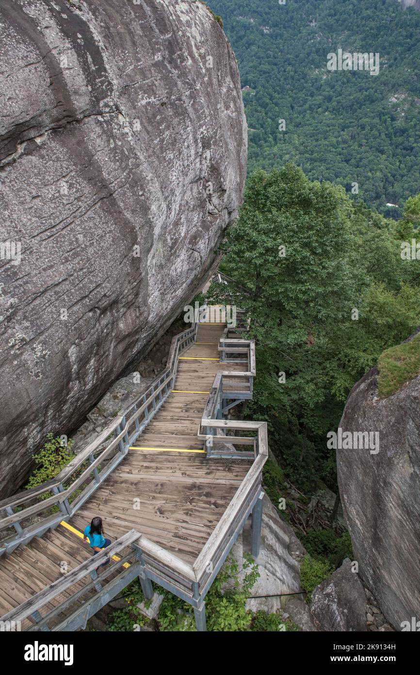 Une photo verticale d'un escalier en bois dans le parc national de Chimney Rock. Rutherford County, États-Unis. Banque D'Images