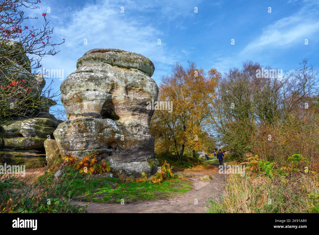 Brimham Rocks, près de Harrogate, North Yorkshire, Angleterre, Royaume-Uni Banque D'Images