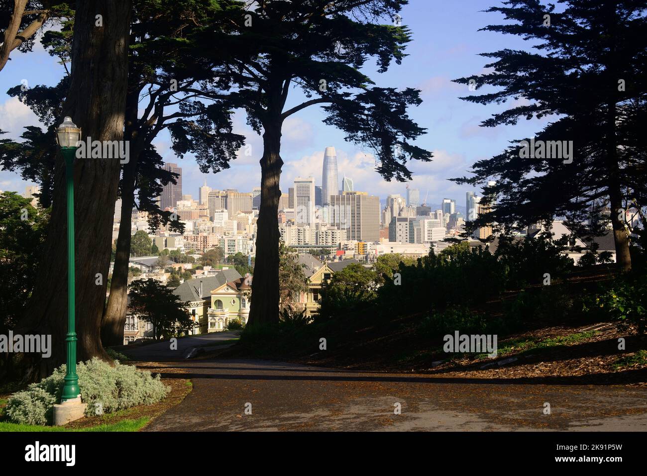 Une vue panoramique sur la ville de San Francisco avec la silhouette d'arbres au premier plan Banque D'Images