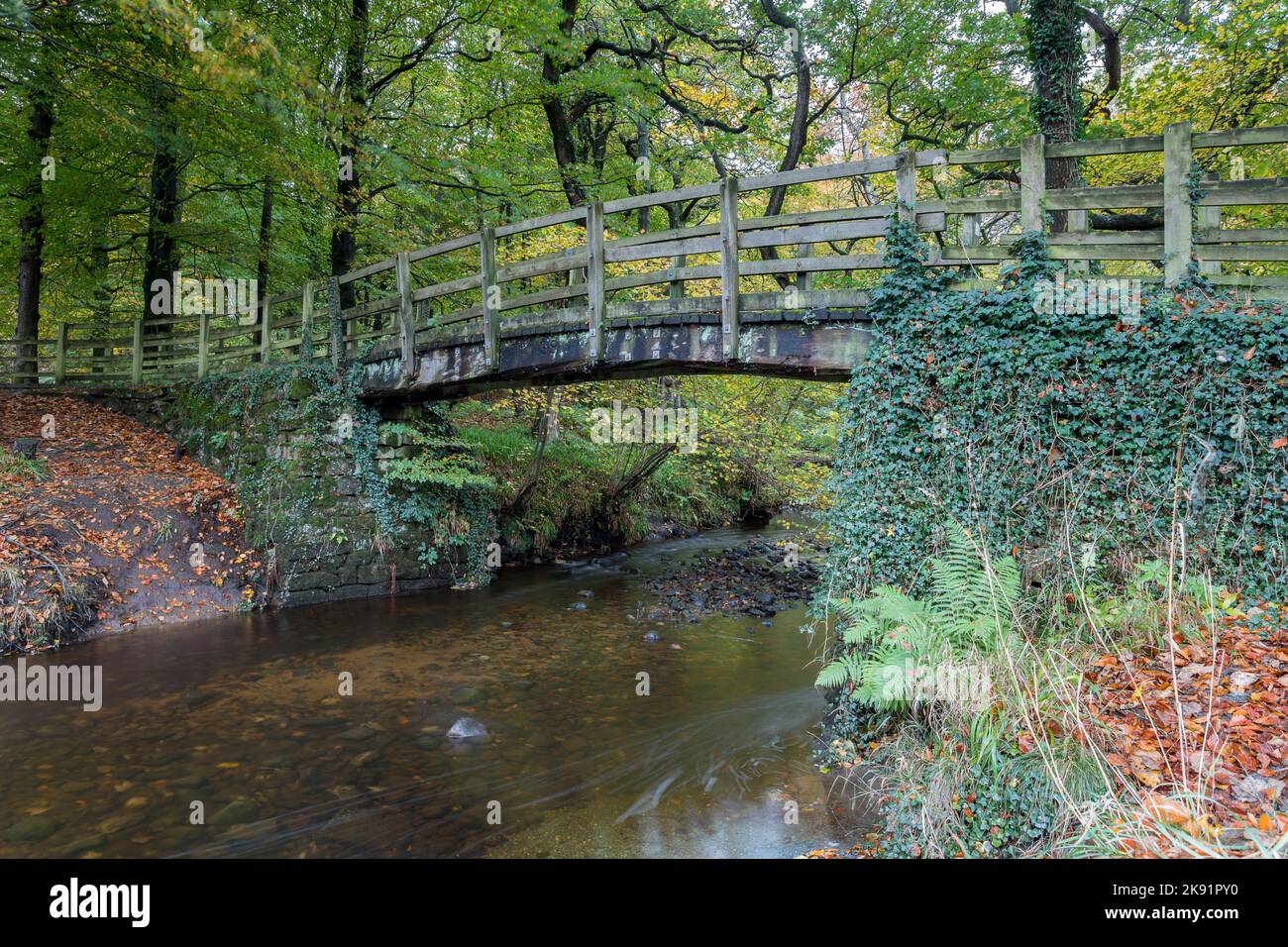Une petite passerelle en bois photographiée qui s'étend sur un ruisseau qui coule dans la plus grande rivière Wharfe dans le Yorkshire à l'automne. Banque D'Images