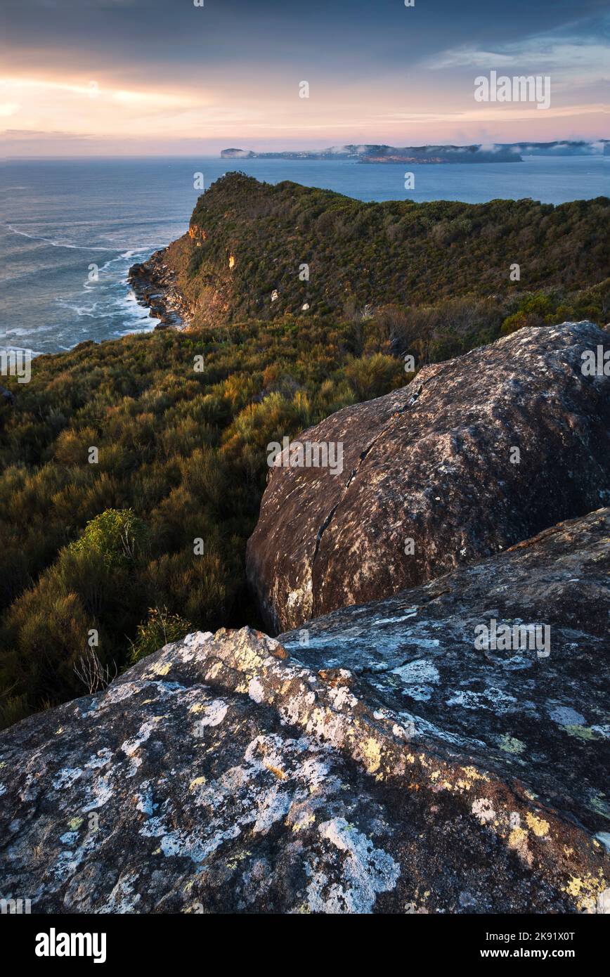 Vue verticale des plages du nord de Sydney depuis le parc national de Bouddi en Australie Banque D'Images