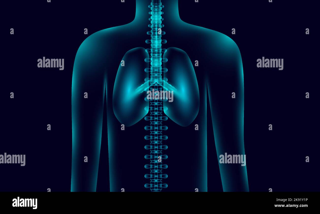 Vecteur de la radiographie d'une personne pour l'examen des poumons Illustration de Vecteur