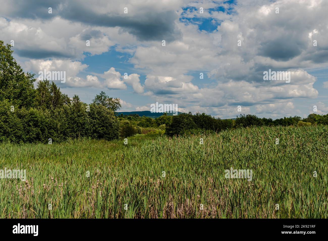 Étang dans la ville de Knowlton Banque D'Images