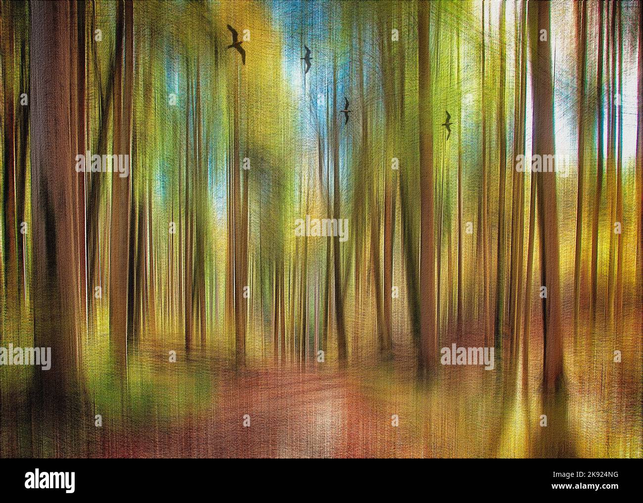 ART CONTEMPORAIN : scène forestière d'automne près de Sindelsdorf, Oberbayern, Allemagne Banque D'Images