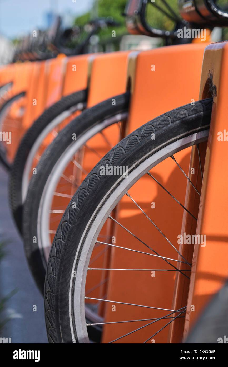 Une rangée de vélos à une station de location de vélos. Concept de mobilité urbaine écologique et durable. Gros plan des pneus, composition avec espace de copie. Banque D'Images