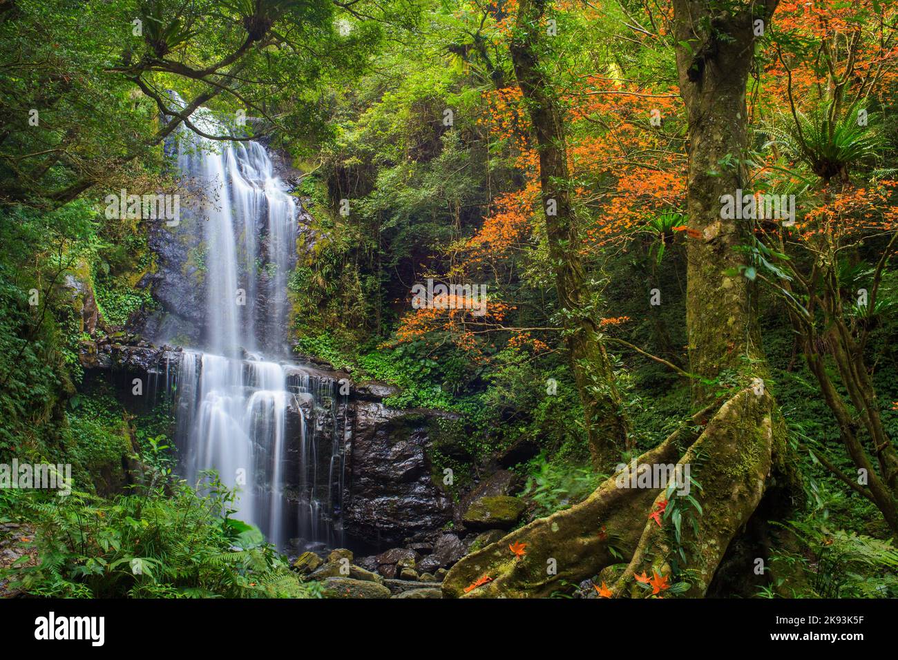 La chute d'eau du Yunsen en automne, les trois Gorges, la ville de New Taipei, Taïwan Banque D'Images