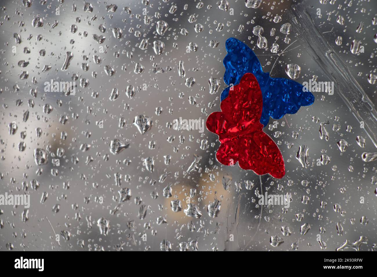 l'eau tombe sur le verre après la pluie comme arrière-plan et un papillon déchiqueté Banque D'Images