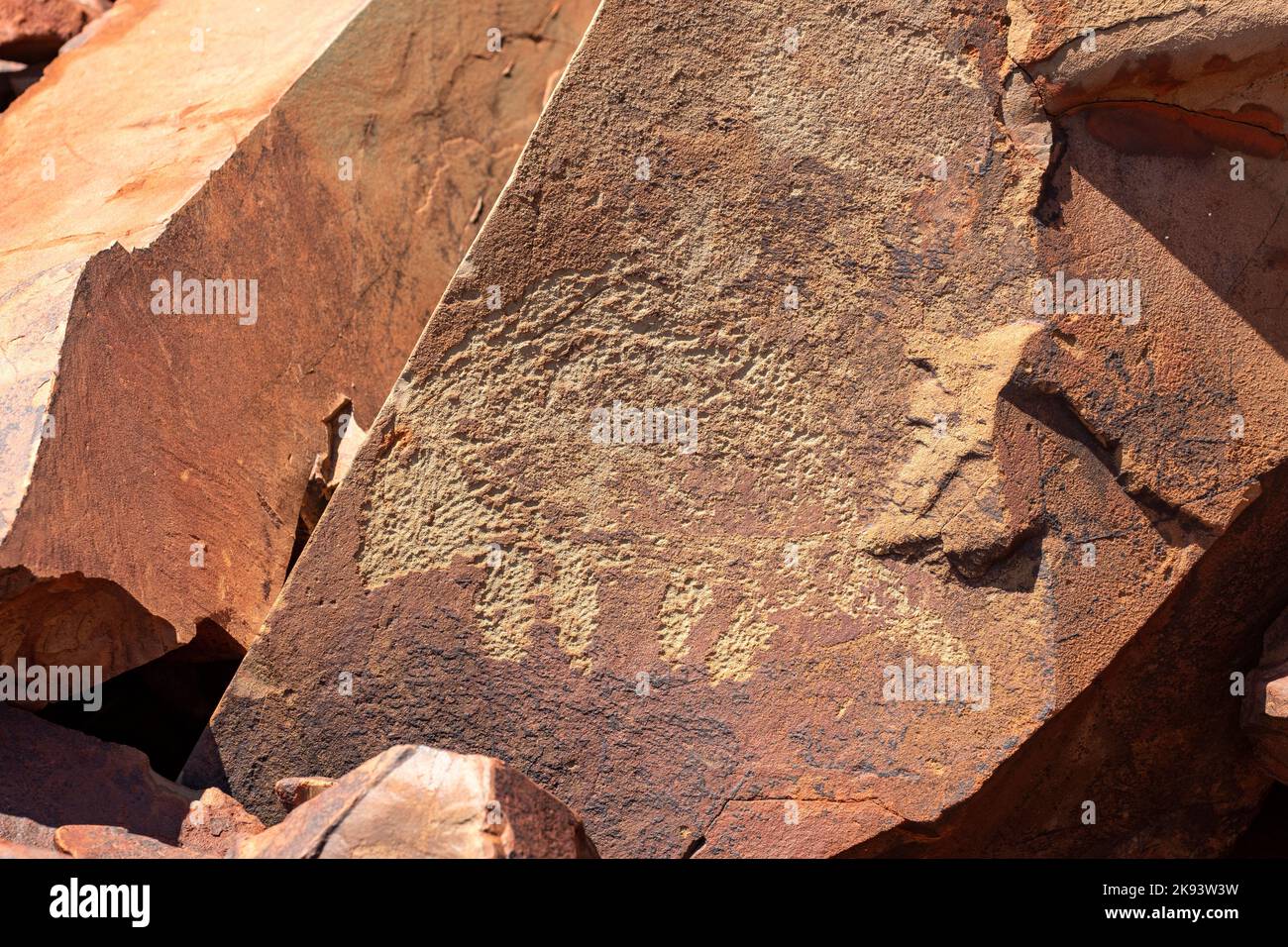 Quoll Petroglyph sur l'île d'Enderby, archipel de Dampier, Australie occidentale Banque D'Images