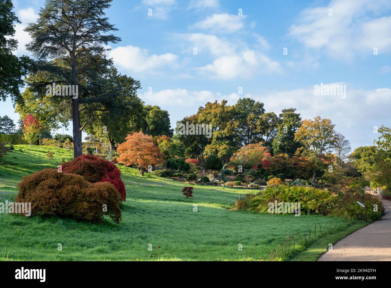 Feuillage de l'automne à RHS Wisley Gardens, Surrey, Angleterre Banque D'Images