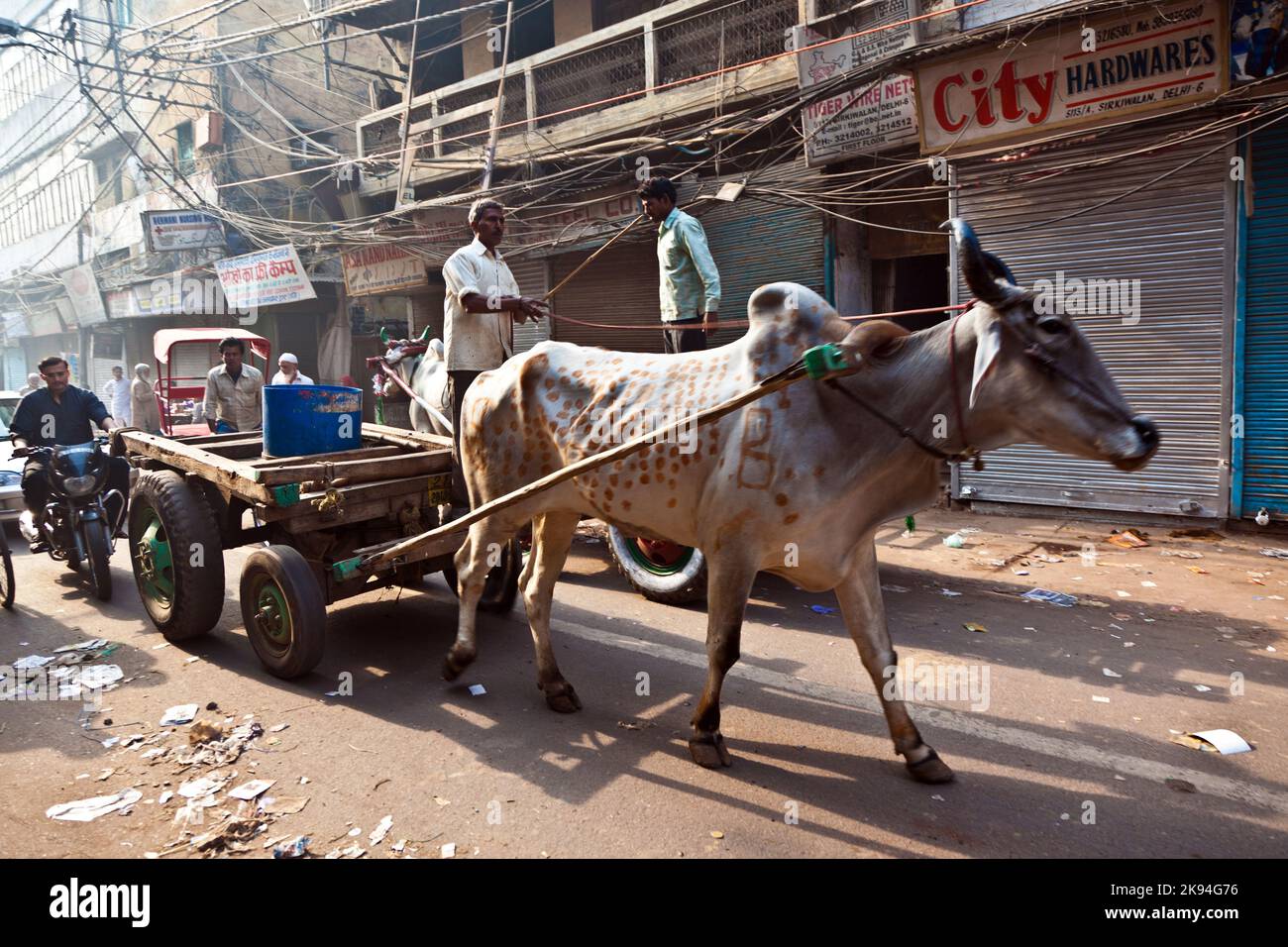 Delhi, Inde - 9 novembre 2011: Transport de chariot de boeuf tôt le matin à Delhi, Inde. Le tableau de boeuf est un transport de fret commun dans le narr Banque D'Images