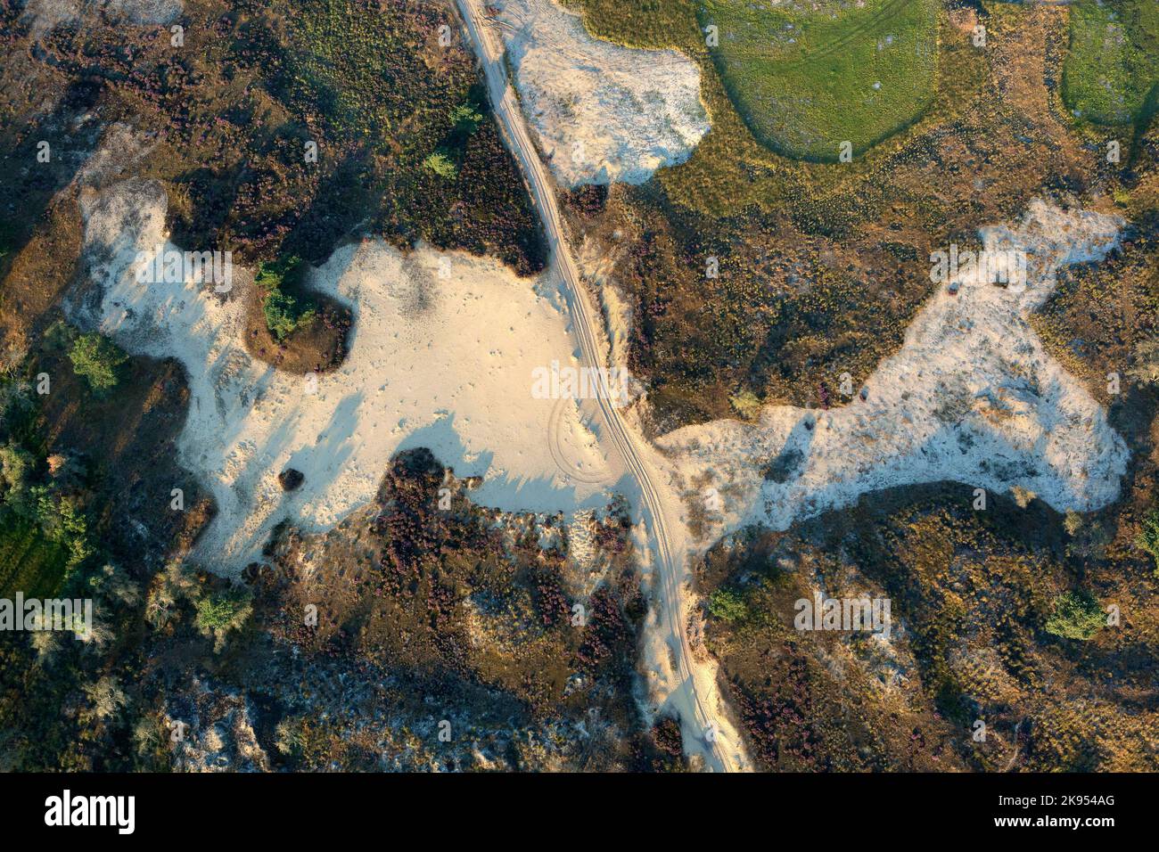 Heathland avec dunes de sable, vue aérienne, Belgique, Anvers, Kalmthout, heide de Kalmthoutse Banque D'Images
