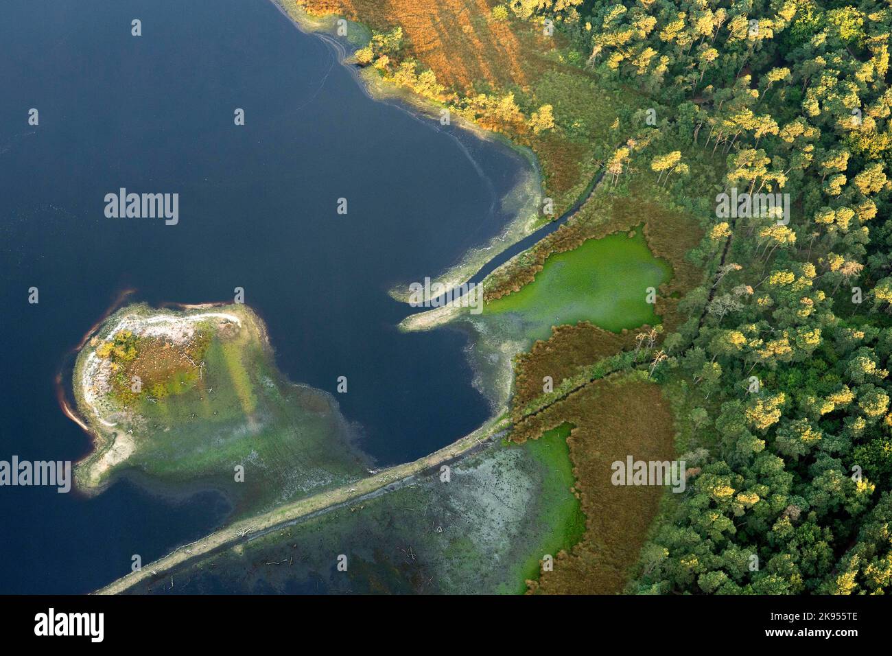 Vue aérienne de la réserve naturelle de Stappersven-Kalmthoutse Heide, Belgique, Anvers, Kalmthout, Kalmthoutse heide Banque D'Images