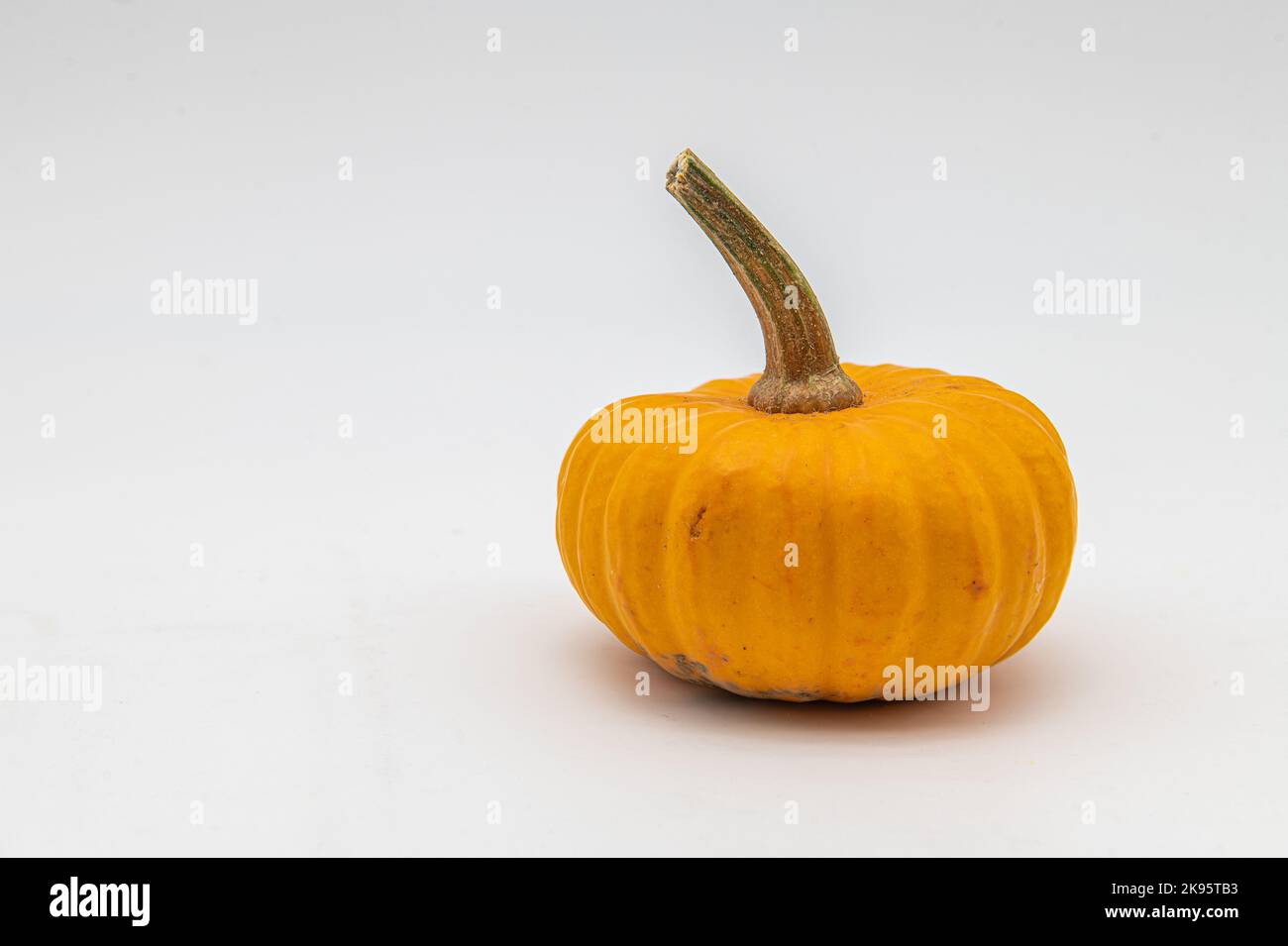 Mini citrouille isolée sur fond blanc. Banque D'Images