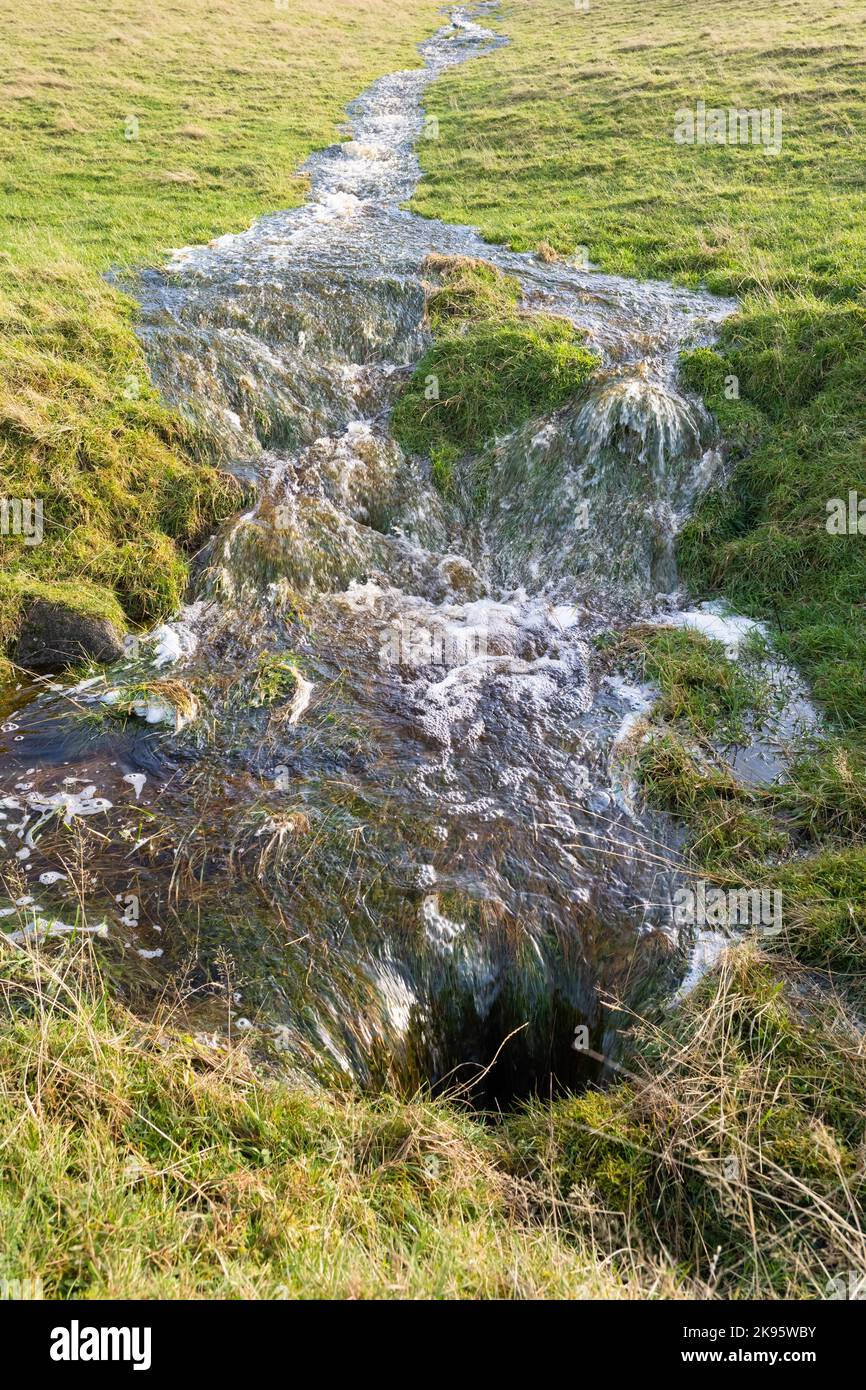 Ruissellement de surface (également connu sous le nom d'écoulement terrestre) à partir d'une colline après que le sol est saturé suite à de fortes pluies - Écosse, Royaume-Uni Banque D'Images