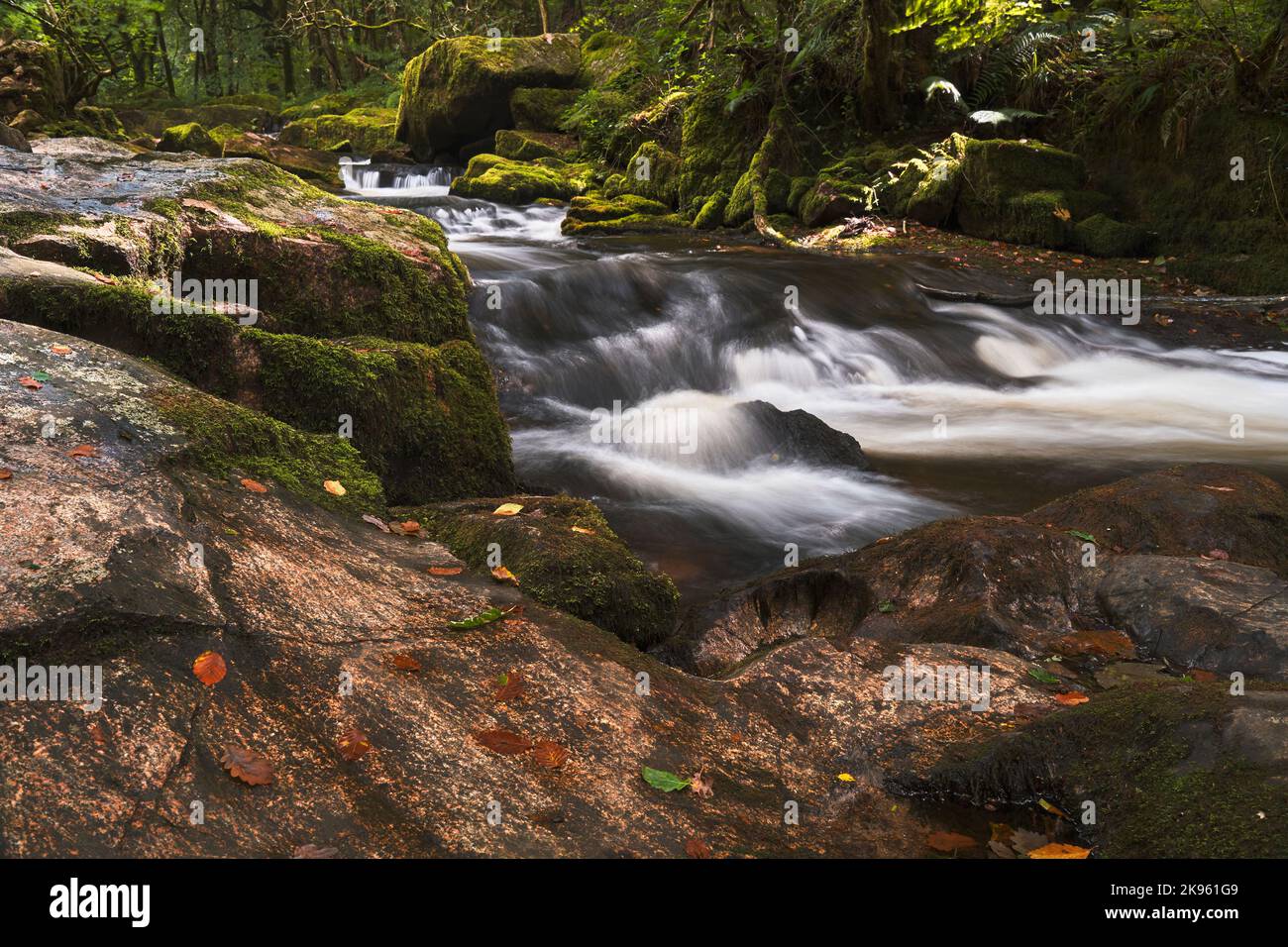 Les chutes Golita font partie de la rivière Fowey. Ce sont une série de cascades spectaculaires qui se rendent à travers le chêne ancien et d'autres déciduou Banque D'Images