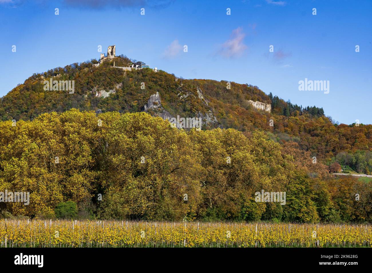 Une photo lointaine des ruines d'un ancien château sur la colline de Drachenfels en Allemagne Banque D'Images