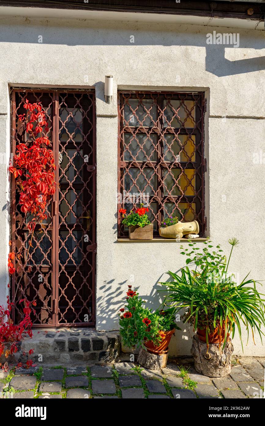 Magnifique détail coloré de la ville de Szentendre avec des pots de fleurs d'automne rue en pierre de pierre de pierre de pierre de pierre de pierre de pierre Banque D'Images