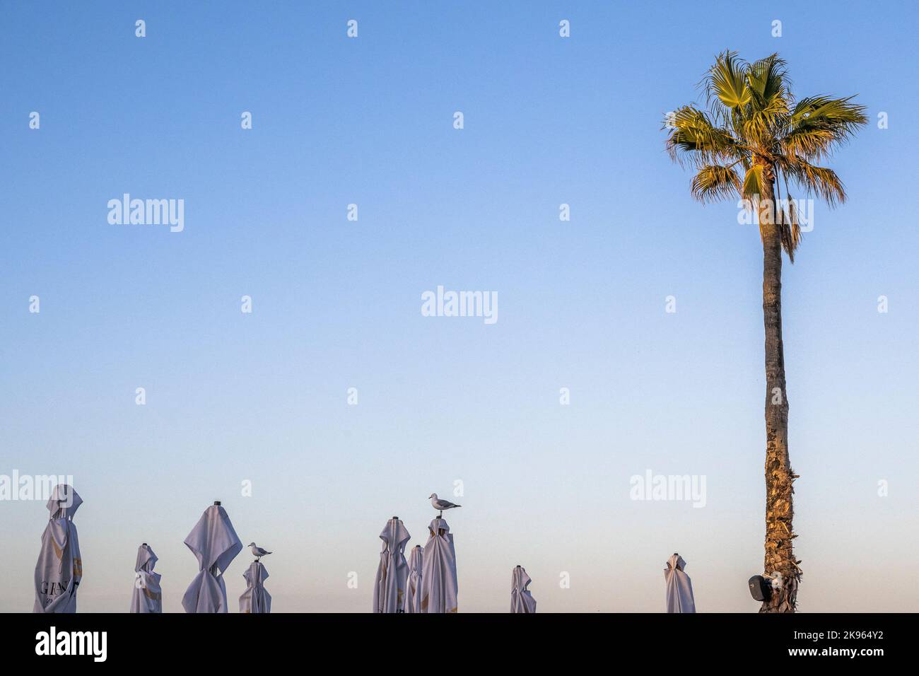 Cape Town, Western Cape, Afrique du Sud Banque D'Images