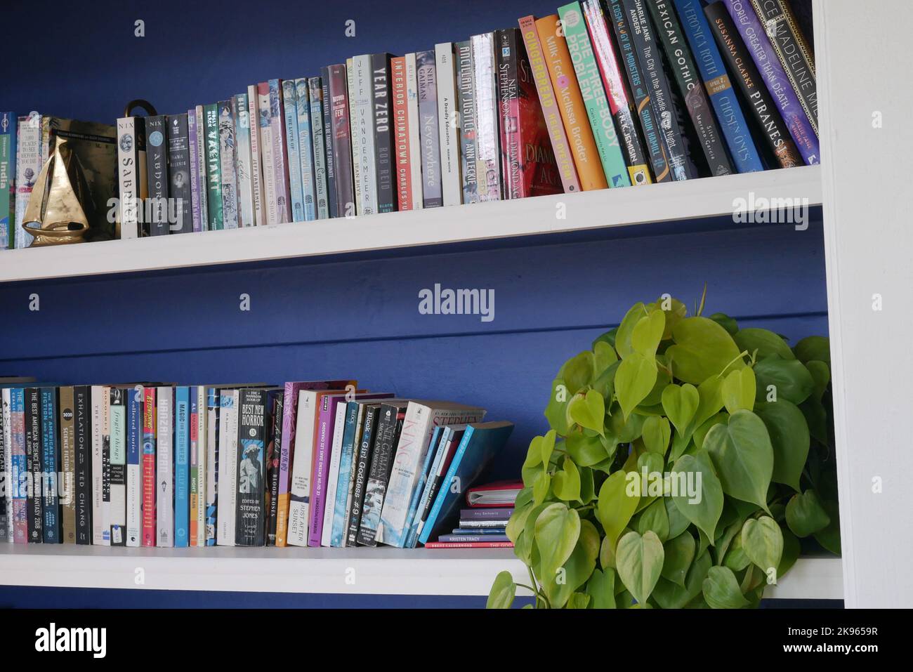 Une bibliothèque peinte avec de nombreux livres, une plante de maison, et une bibliothèque en laiton en forme de bateau à voile. Banque D'Images