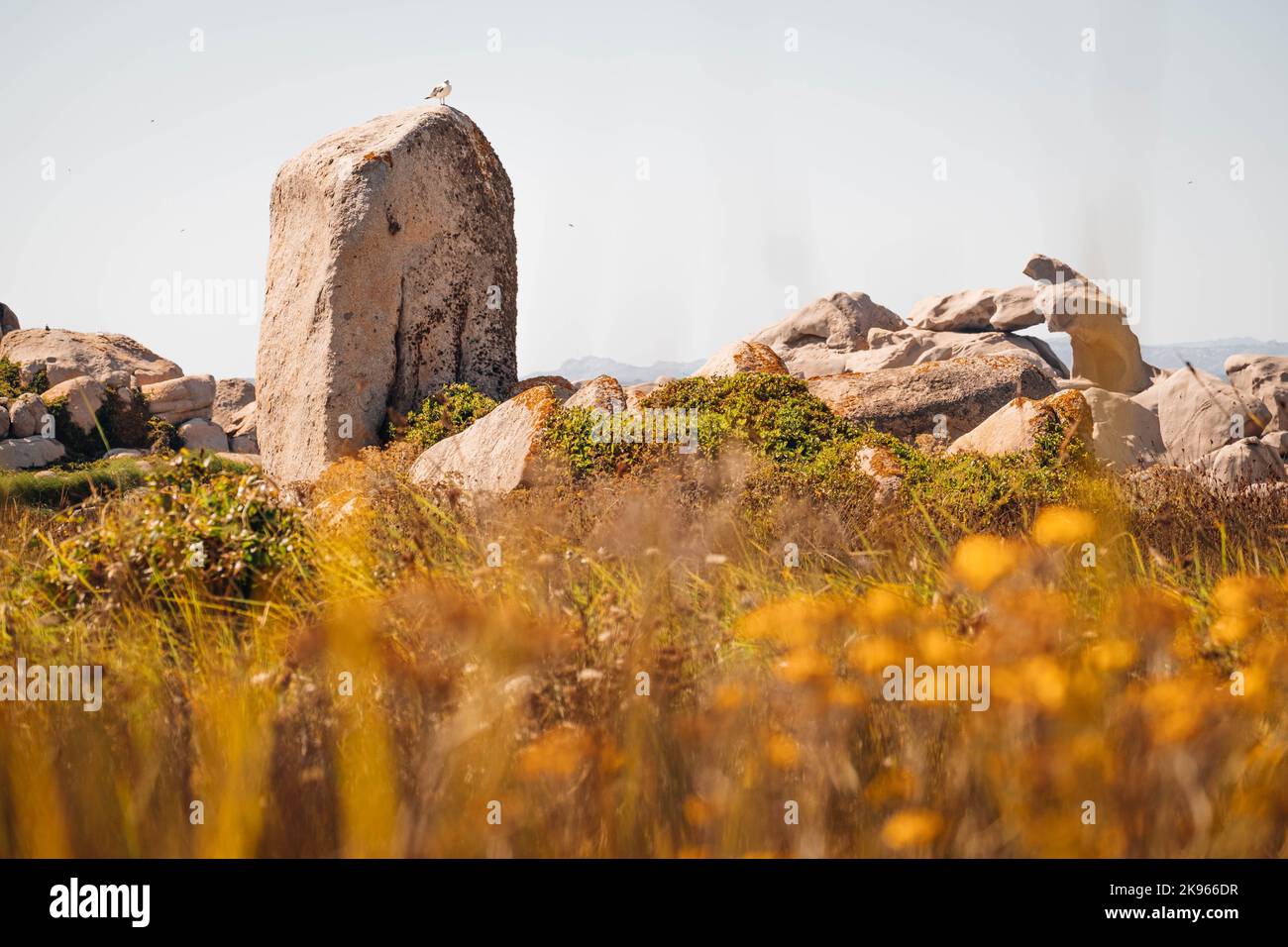 Une belle photo de rochers dans l'archipel de Lavezzi à Corsico, en France Banque D'Images