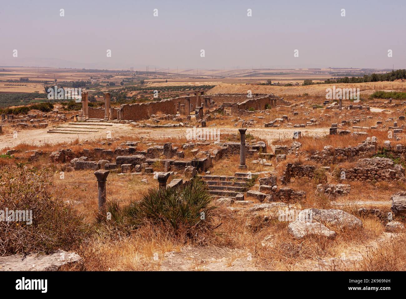 Une belle photo d'un site archéologique et de l'ancienne ville berbère-romaine de Volubilis Banque D'Images