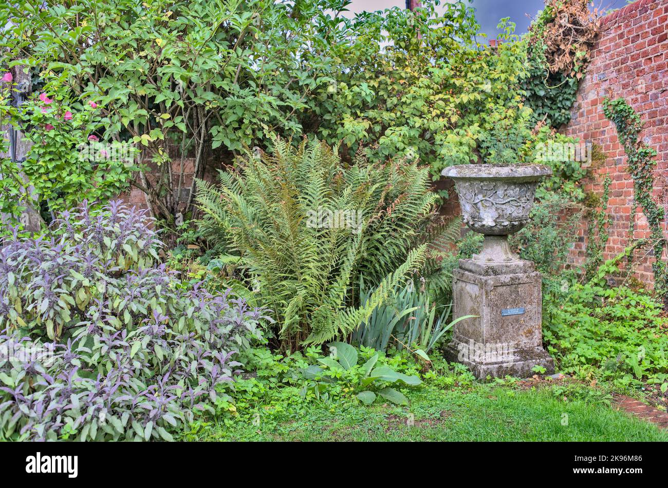 Coin densément planté du jardin Gilbert Whites Hampshire avec urne en pierre et mur en brique Banque D'Images