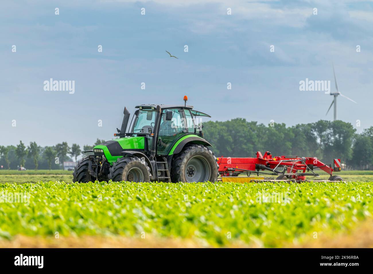 Un gros plan d'une moissonneuse-batteuse dans un champ de grain Banque D'Images