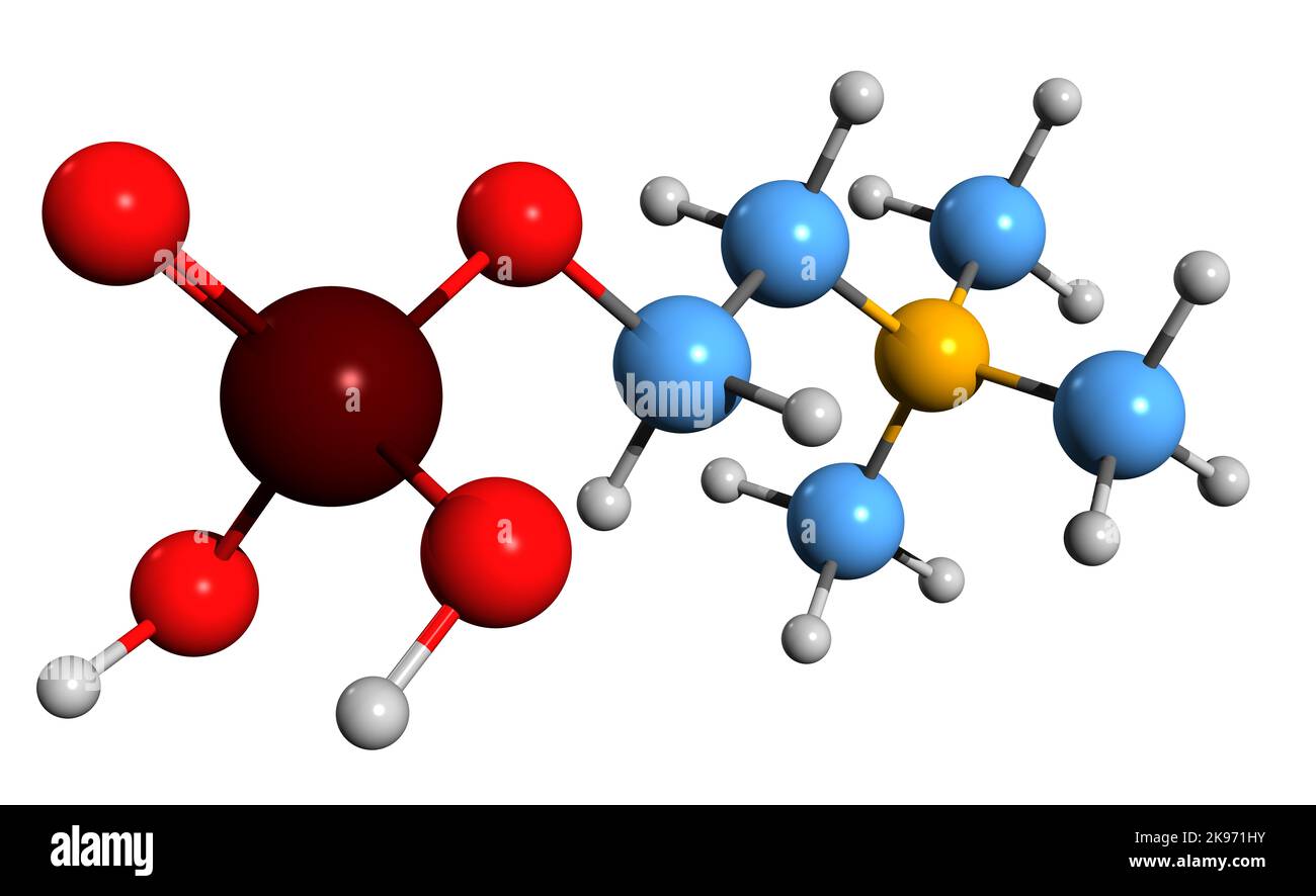 3D image de la formule squelettique de la phosphocholine - structure chimique moléculaire de la phosphatidylcholine intermédiaire isolée sur fond blanc Banque D'Images